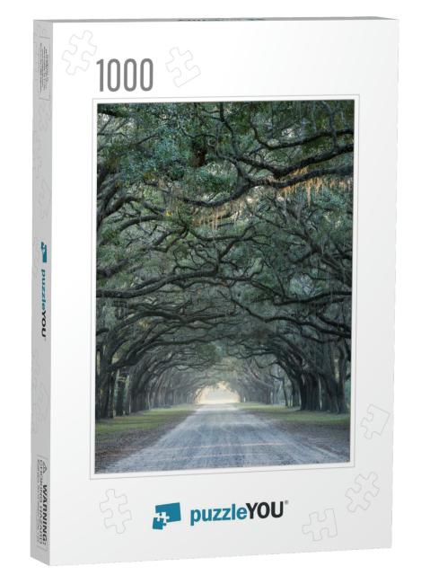 Old Oak Trees Line a Gravel Road in Savannah, Georgia... Jigsaw Puzzle with 1000 pieces