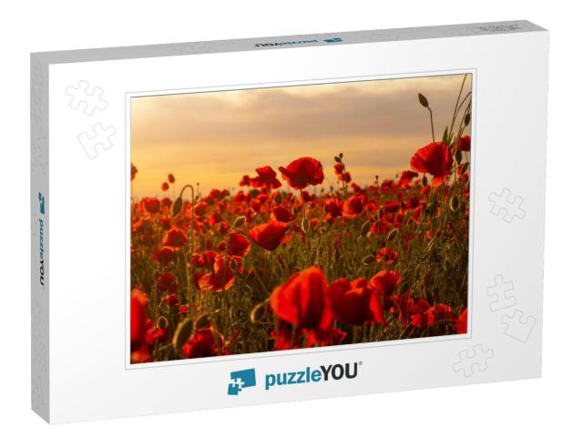 Poppy Field in Full Bloom Against Sunlight. Field of Red... Jigsaw Puzzle