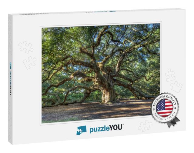 The Magical Angel Oak Tree in Charleston South Carolina... Jigsaw Puzzle