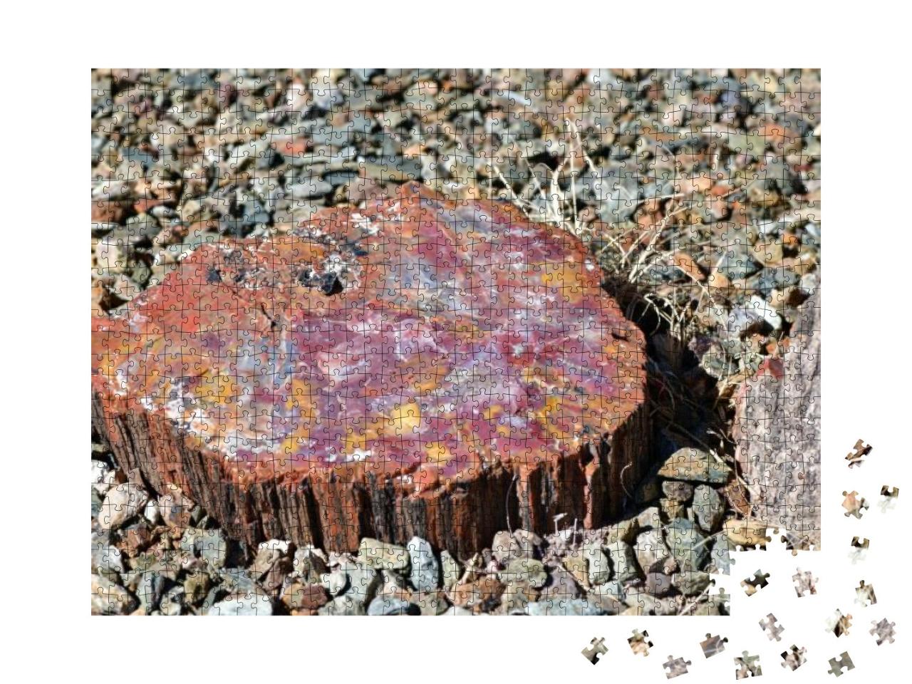 Petrified Wood Can be Found Scattered Across the Petrifie... Jigsaw Puzzle with 1000 pieces