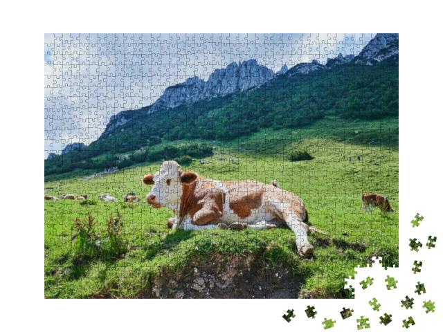 Sleeping Cow in Front of the Famous Kampenwand, Bavaria... Jigsaw Puzzle with 1000 pieces