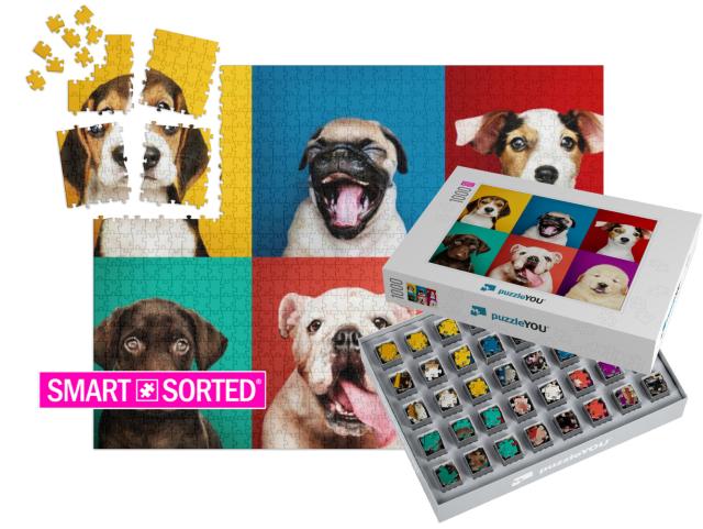 Portrait Collection of Adorable Puppies... | SMART SORTED® | Jigsaw Puzzle with 1000 pieces