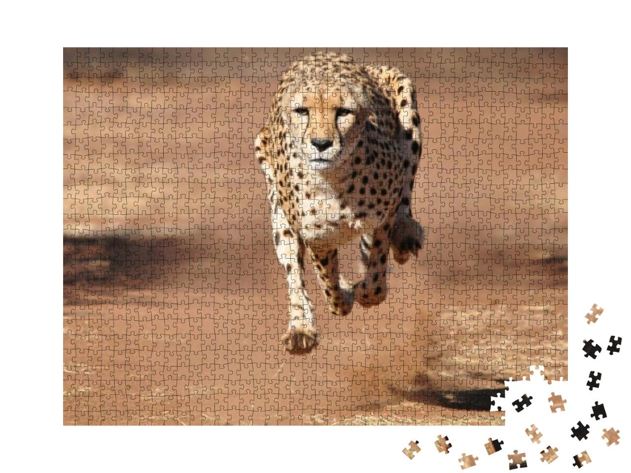 Cheetah Running, Completely Airborne... Jigsaw Puzzle with 1000 pieces