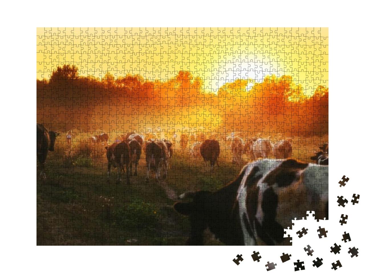Epic Scene of Cattle Farm - Livestock of Cows Going Home... Jigsaw Puzzle with 1000 pieces