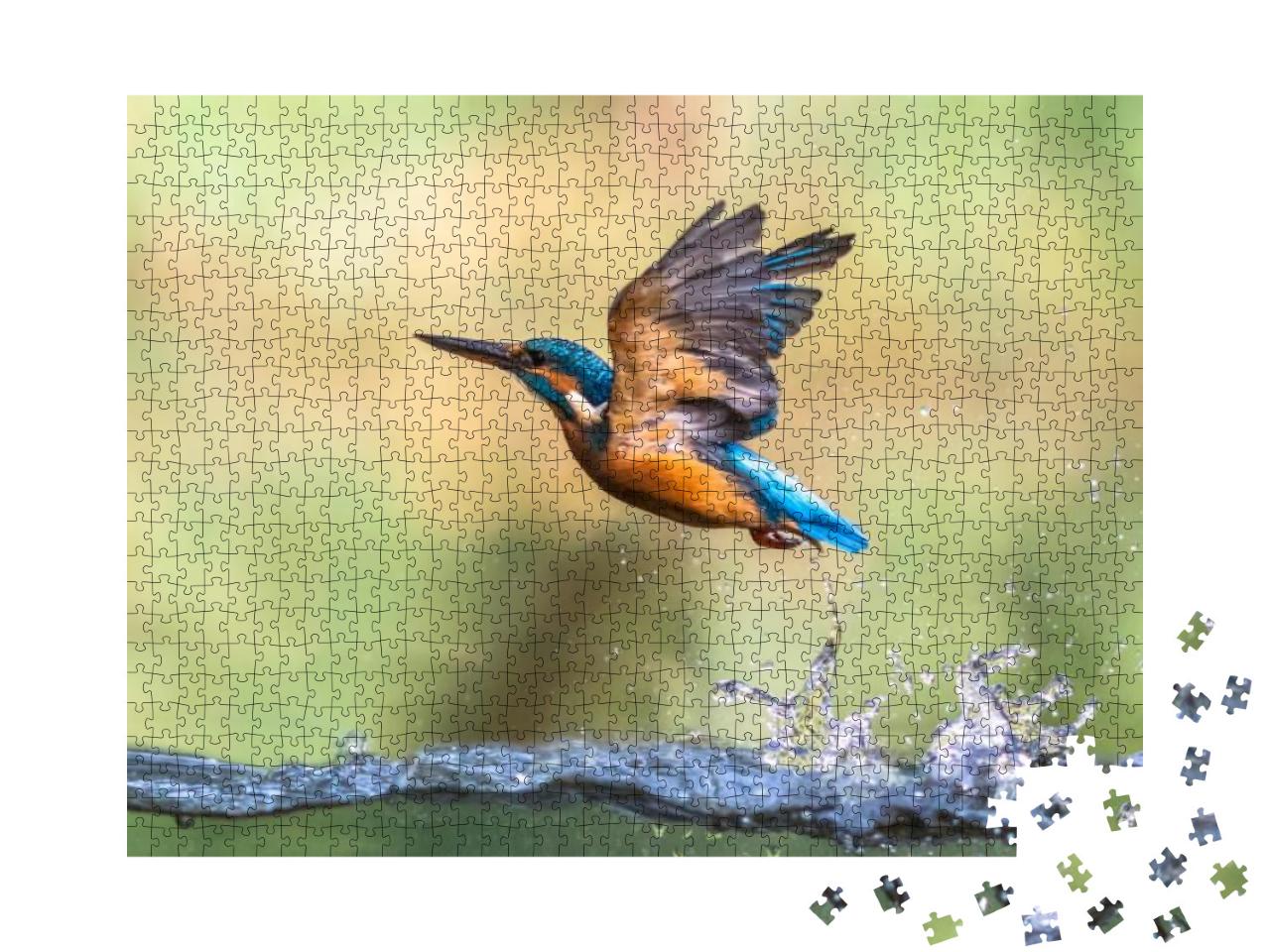 Common European Kingfisher Alcedo Atthis. River Kingfishe... Jigsaw Puzzle with 1000 pieces
