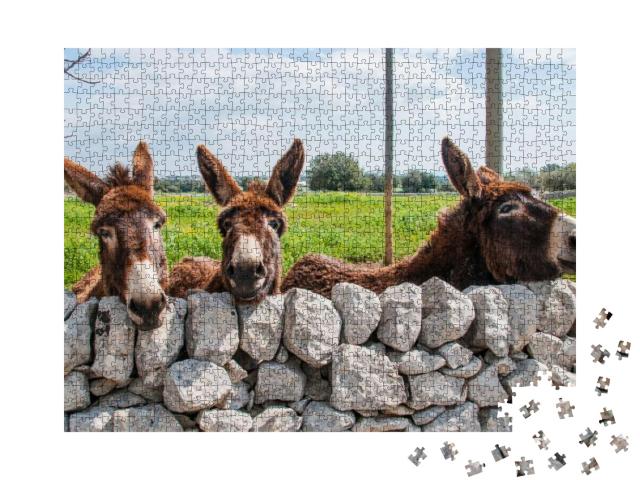 Cute Donkeys Look Out from a Stone Wall Typical of the Mo... Jigsaw Puzzle with 1000 pieces