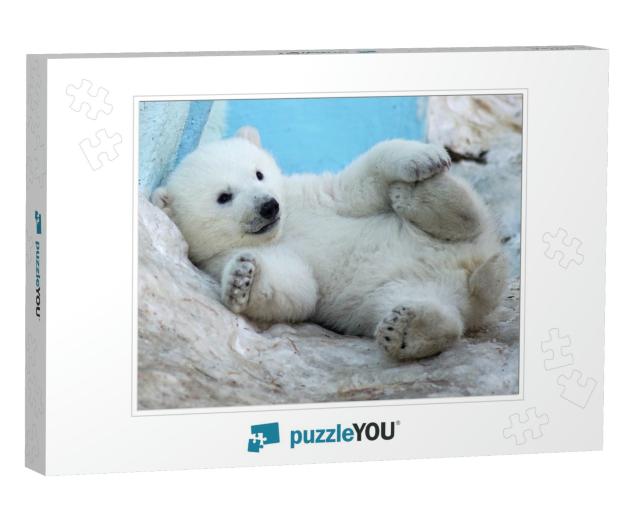 A Polar Bear Cub Lies in the Snow on Its Back... Jigsaw Puzzle