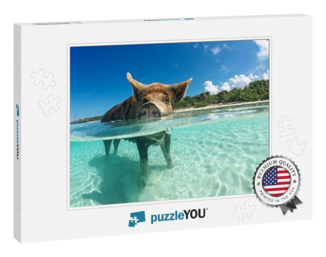 Wild, Swimming Pig on Big Majors Cay in the Bahamas... Jigsaw Puzzle