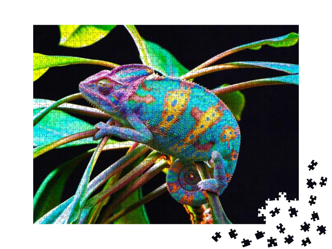 Yemen Chameleon Isolated on Black Large Background. Lizar... Jigsaw Puzzle with 1000 pieces