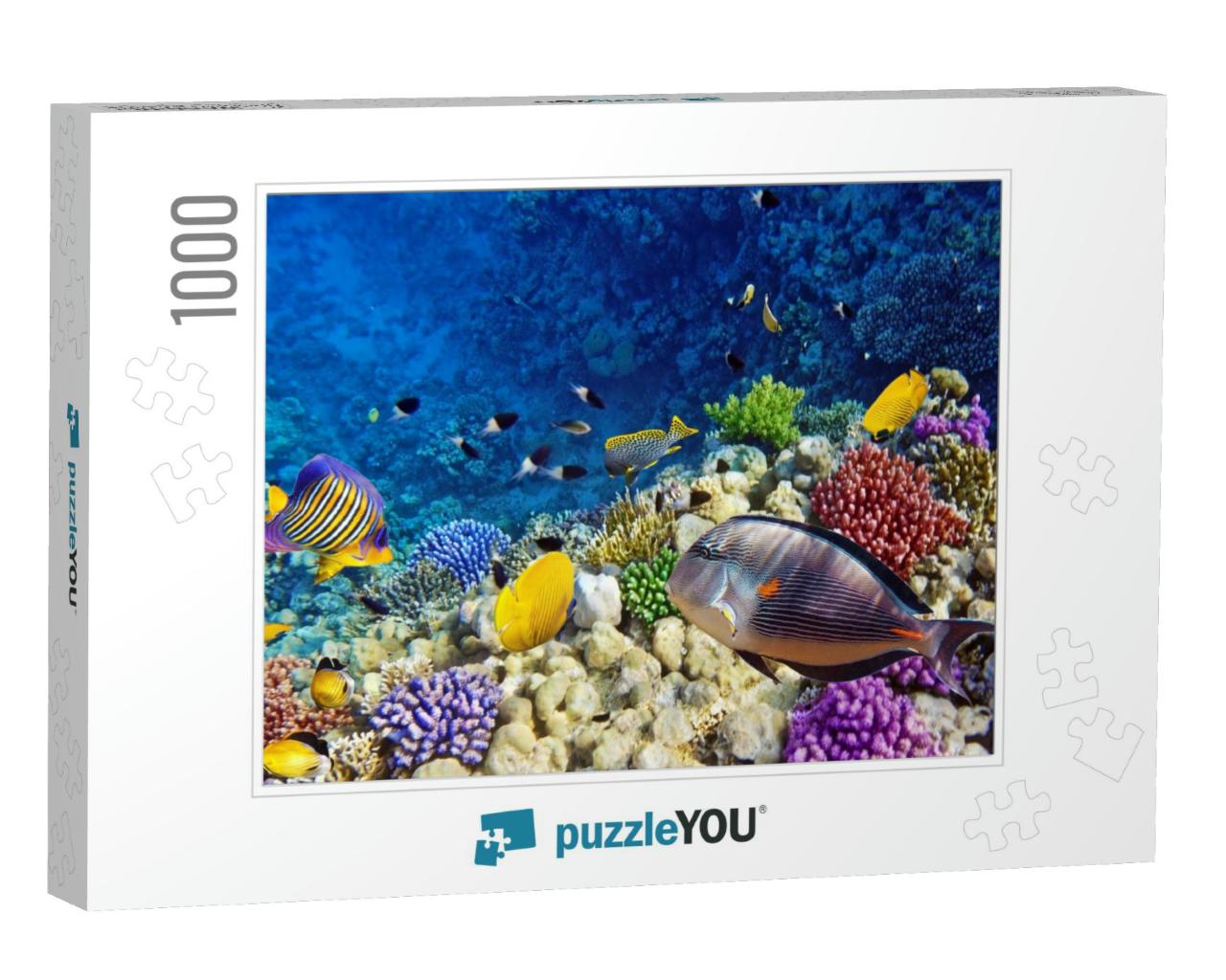 Coral & Fish in the Red Sea. Egypt... Jigsaw Puzzle with 1000 pieces