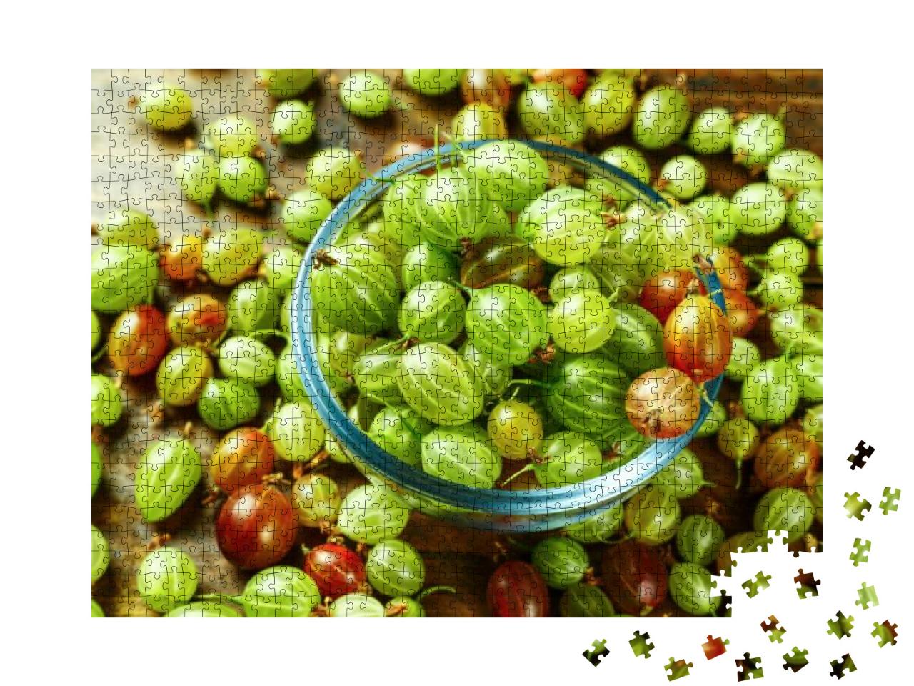 Ripe Gooseberry in a Glass Plate, Place for Text, Top Vie... Jigsaw Puzzle with 1000 pieces