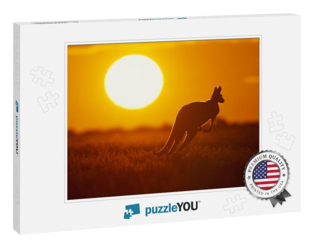 Kangaroo in Sunset in Sturt National Park in the Far West... Jigsaw Puzzle
