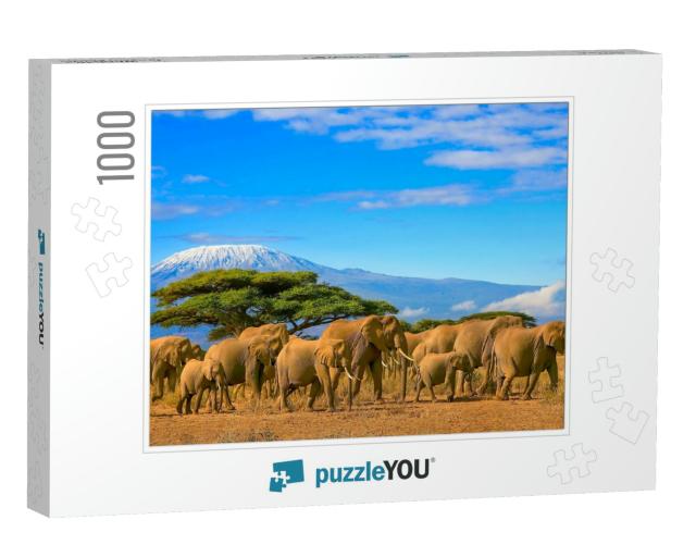 Herd of African Elephants on a Safari Trip to Kenya & a S... Jigsaw Puzzle with 1000 pieces