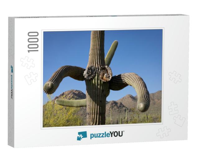 Saguaro National Park in the Southwest... Jigsaw Puzzle with 1000 pieces