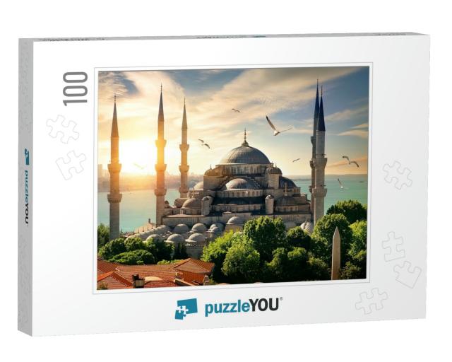 Seagulls Over Blue Mosque & Bosphorus in Istanbul, Turkey... Jigsaw Puzzle with 100 pieces