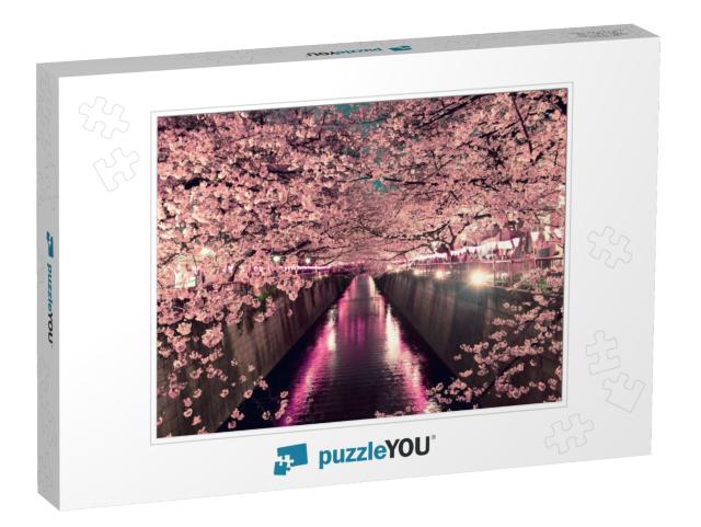 Cherry Blossoms At Night in Tokyo... Jigsaw Puzzle