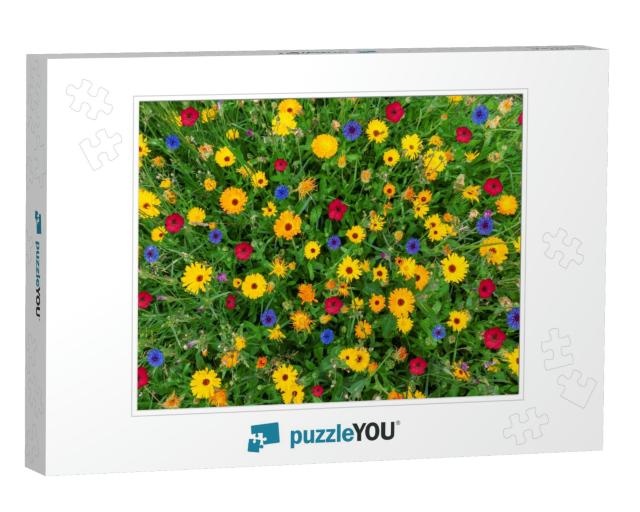 Colorful Flower Meadow in Summer with View from Above in... Jigsaw Puzzle