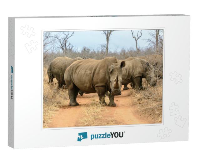 White Rhinoceros in Hlane Royal National Park, Swaziland... Jigsaw Puzzle