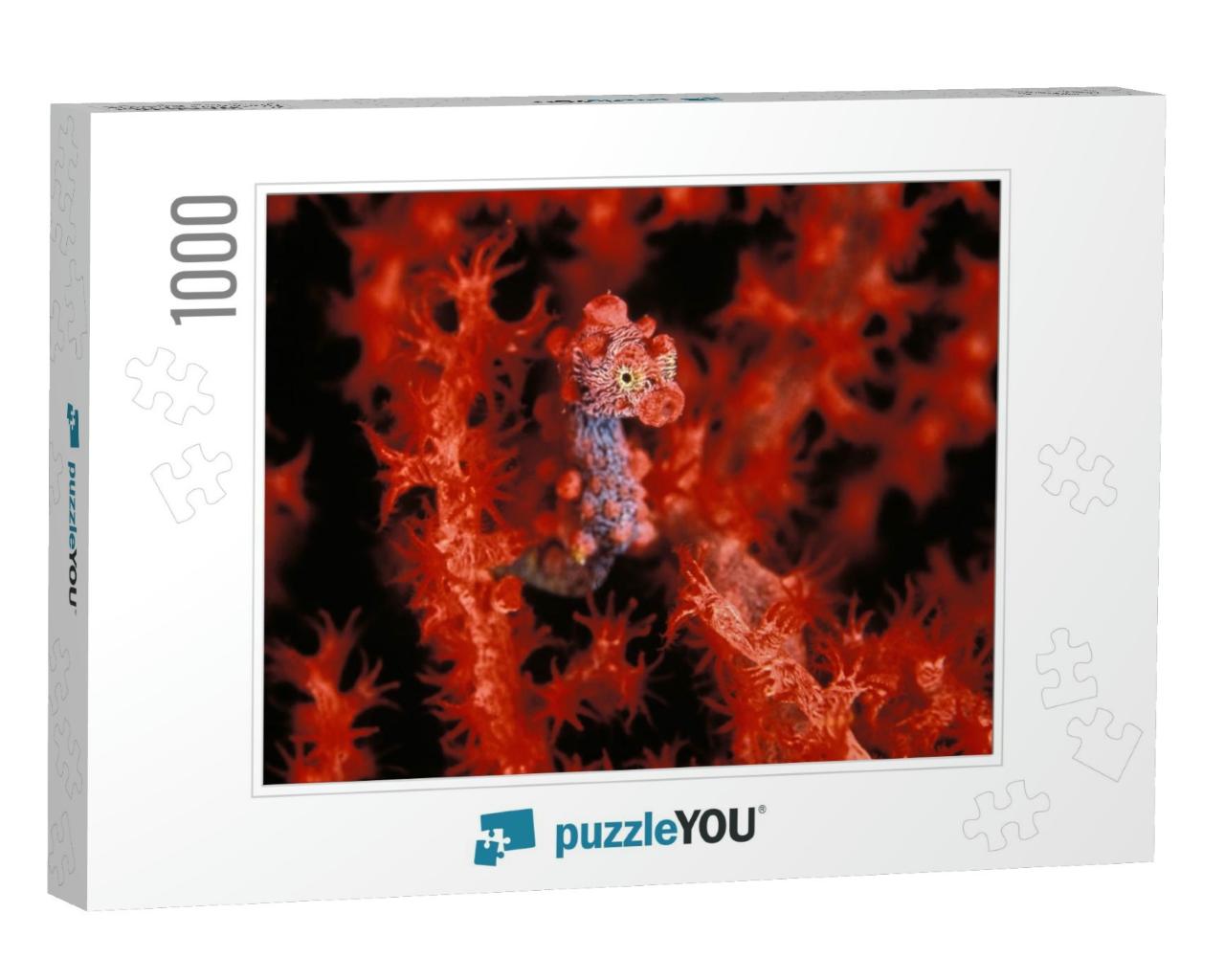A Bright Red Pygmy Sea Horse Hiding... Jigsaw Puzzle with 1000 pieces