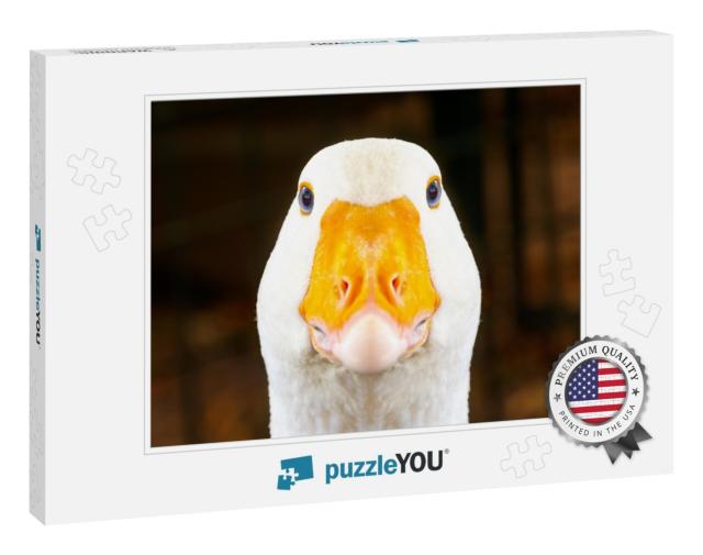 Portrait of a White Geese with an Orange Beak. Breeding P... Jigsaw Puzzle