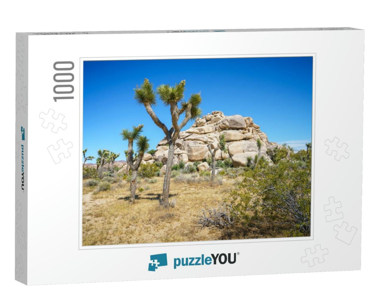 Joshua Tree National Park in the Usa... Jigsaw Puzzle with 1000 pieces