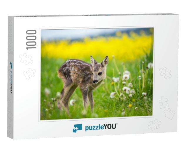 Young Wild Roe Deer in Grass, Capreolus Capreolus. New Bo... Jigsaw Puzzle with 1000 pieces