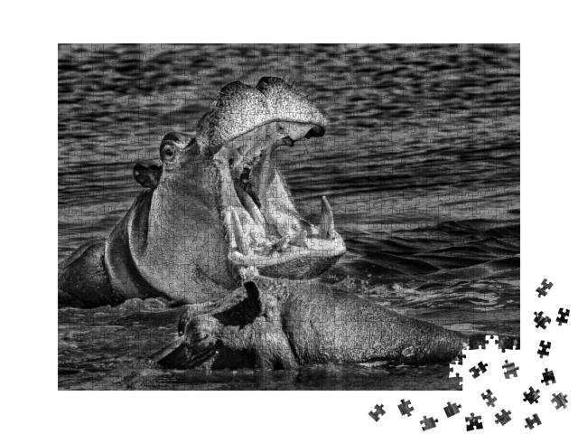 Angry Hippopotamus Amphibius, Hippo with a Wide Open Mout... Jigsaw Puzzle with 1000 pieces
