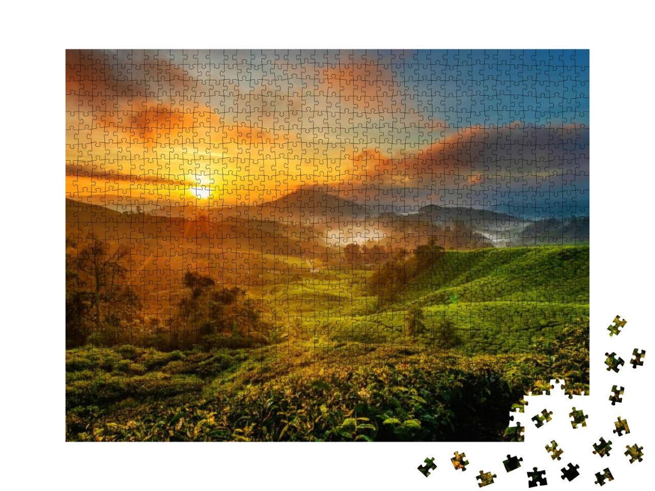 Sunrise View of Tea Plantation Landscape At Cameron Highl... Jigsaw Puzzle with 1000 pieces