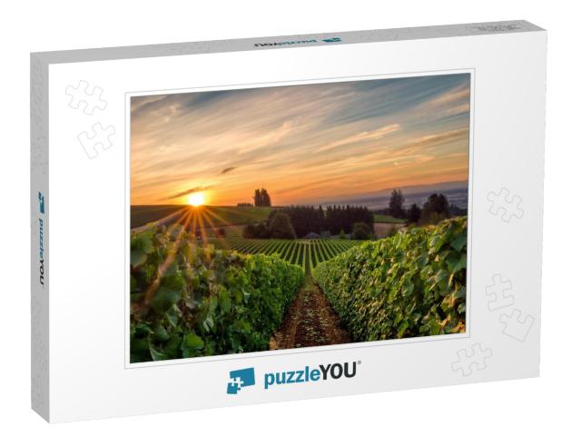 Sun Rising Over a Vineyard in Willamette Valley... Jigsaw Puzzle