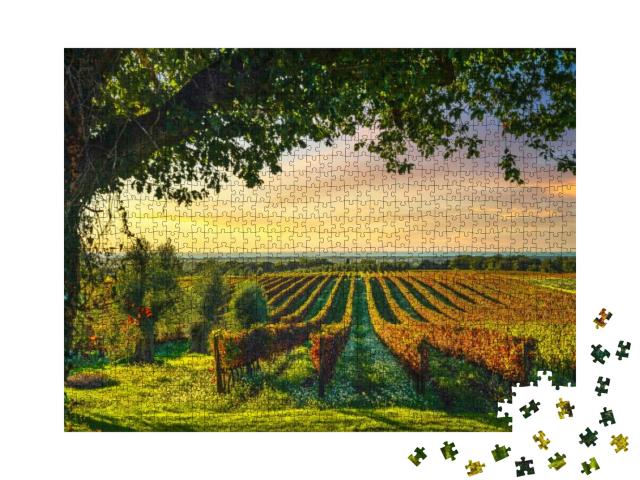 Bolgheri Vineyard, Olive Trees & Flowers At Sunset. Tree... Jigsaw Puzzle with 1000 pieces