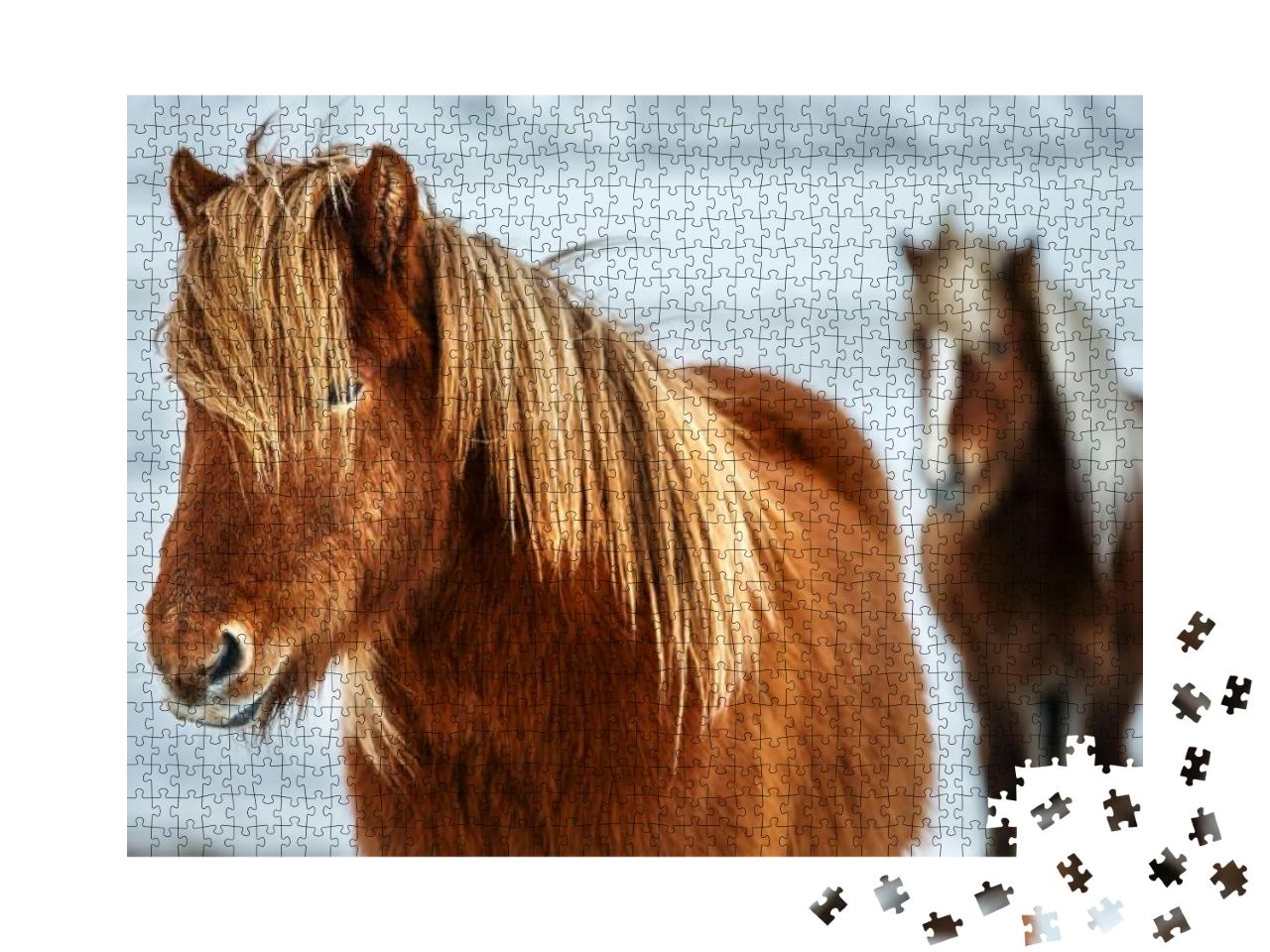 Portrait of a Beautiful Icelandic Horses, Pair of a Gorge... Jigsaw Puzzle with 1000 pieces