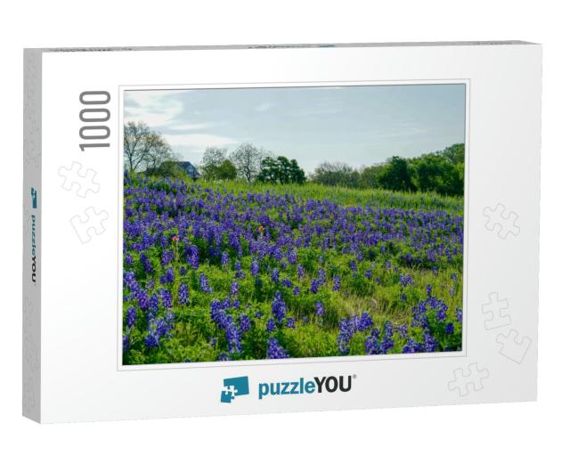 View of Bluebonnet Wildflowers Along Countryside Near the... Jigsaw Puzzle with 1000 pieces