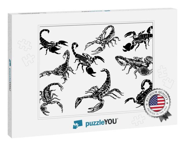 Graphical Set of Scorpions Isolated on White Background... Jigsaw Puzzle