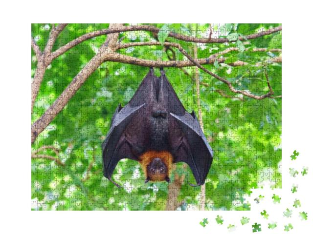 Fruit Bat Hanging on Tree in Forest. Lyles Flying Fox... Jigsaw Puzzle with 1000 pieces