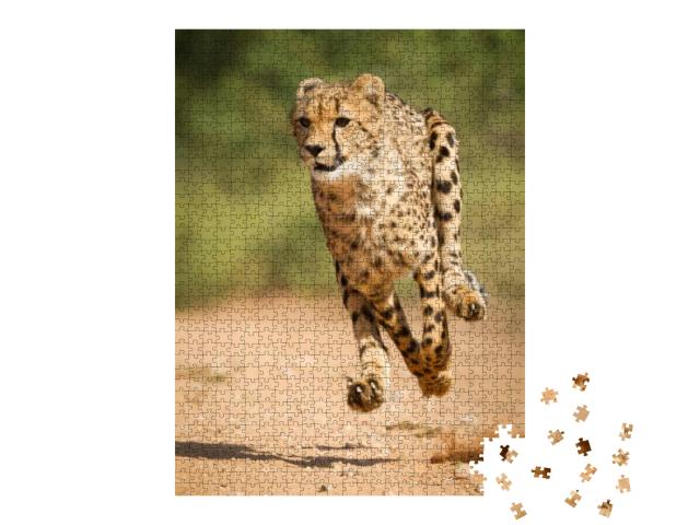 Vertical Shot of Adult Cheetah Running At Top Speed with... Jigsaw Puzzle with 1000 pieces