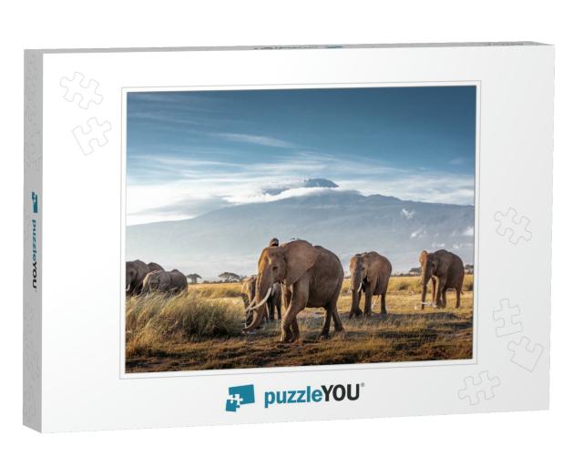 Herd of Large African Elephants Walking in Front of Mount... Jigsaw Puzzle