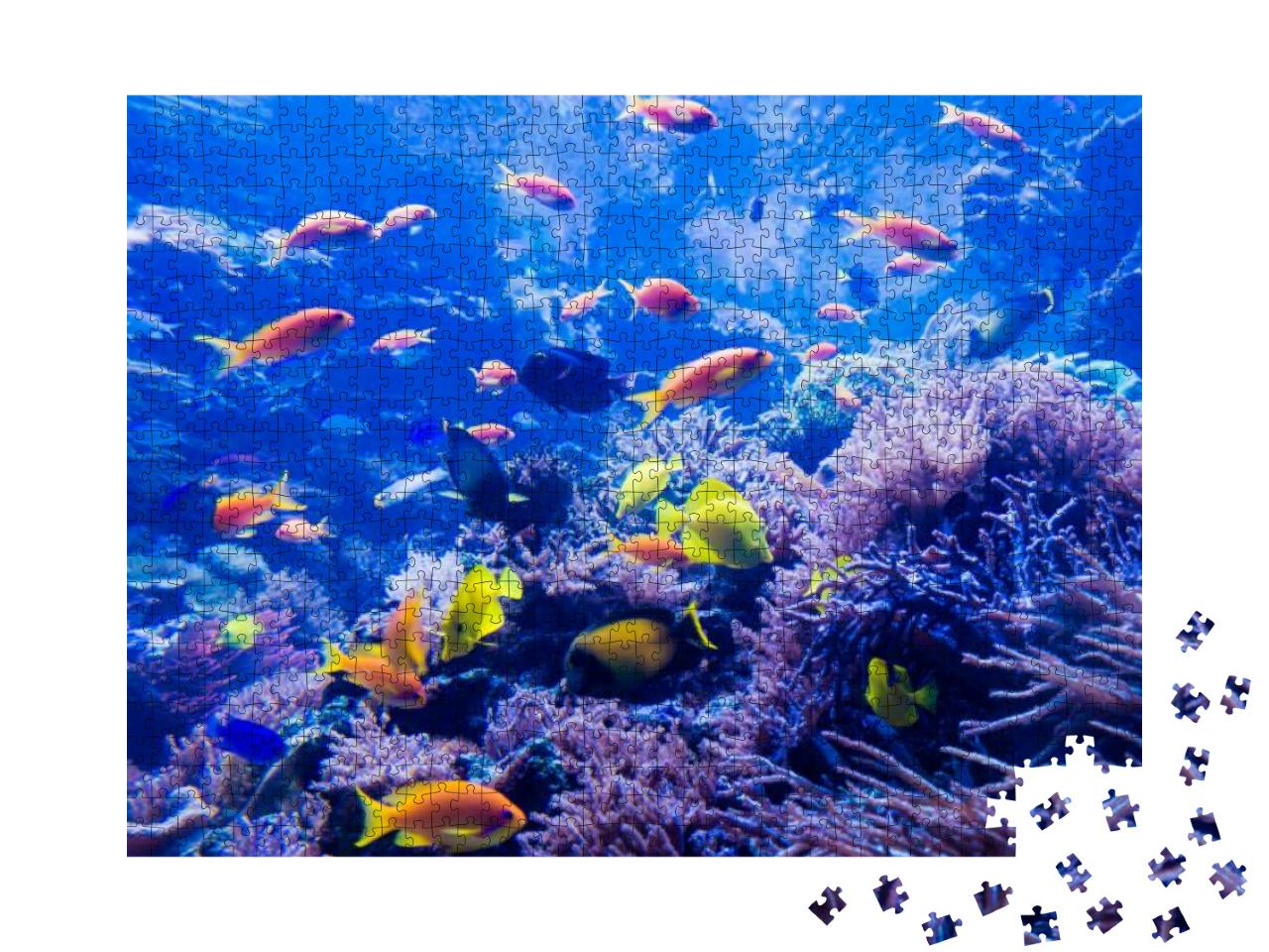 Beautiful Underwater World... Jigsaw Puzzle with 1000 pieces