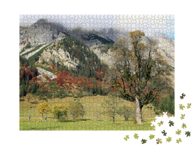 Five Hundred Years Old Maple Trees & the Karwendel Mounta... Jigsaw Puzzle with 1000 pieces