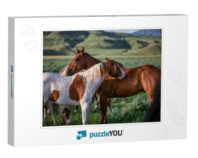 Paint Pony & Ranch Horse Friend on the Range in Montana... Jigsaw Puzzle