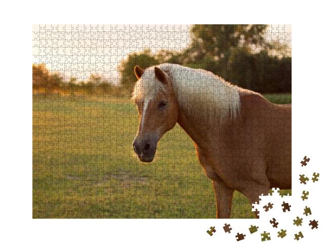 Beautiful Palomino Haflinger Horse Portrait on Aa Pasture... Jigsaw Puzzle with 1000 pieces