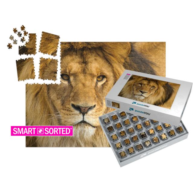 Beautiful Mighty Lion... | SMART SORTED® | Jigsaw Puzzle with 1000 pieces