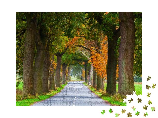 Picture of an Autumnal Tree Avenue At the Lieper Winkel... Jigsaw Puzzle with 1000 pieces