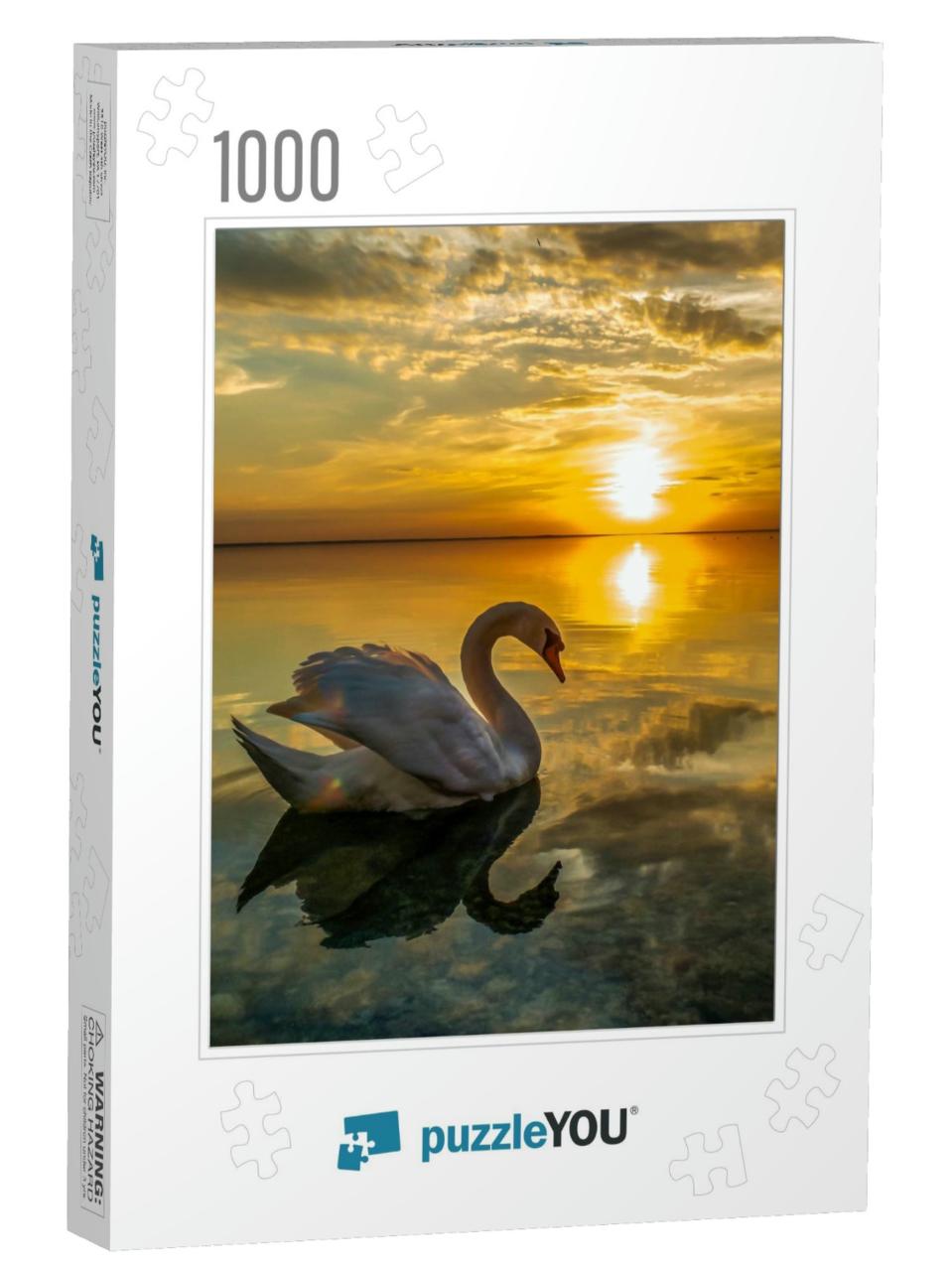 White Swan Swimming in Sunset Water... Jigsaw Puzzle with 1000 pieces