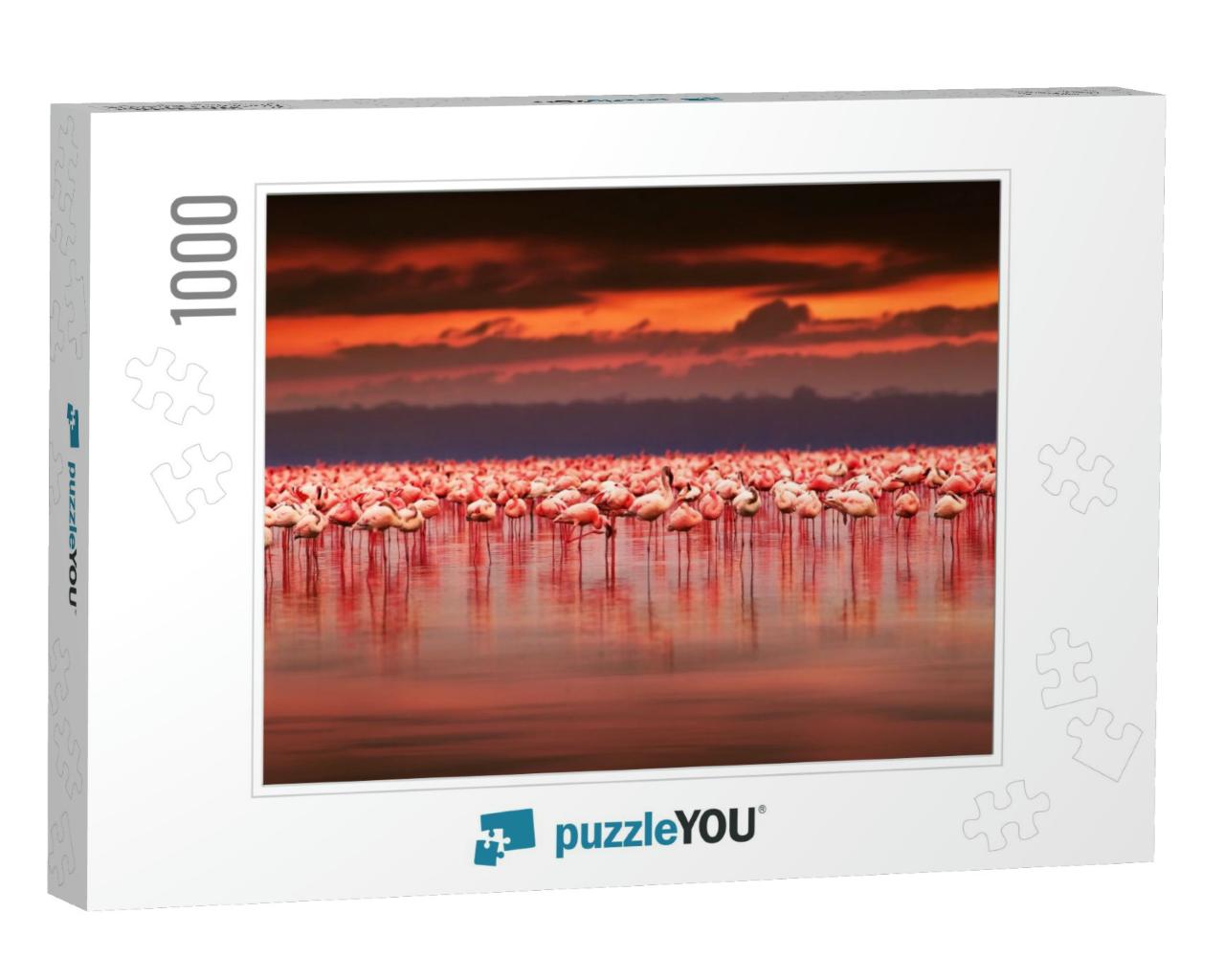 African Flamingos in the Lake Over Beautiful Sunset, Floc... Jigsaw Puzzle with 1000 pieces