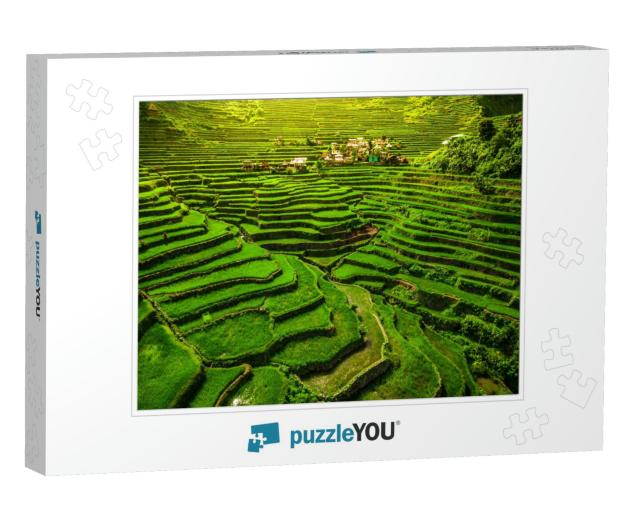 World Heritage Ifugao Rice Terraces in Batad, Northern Lu... Jigsaw Puzzle