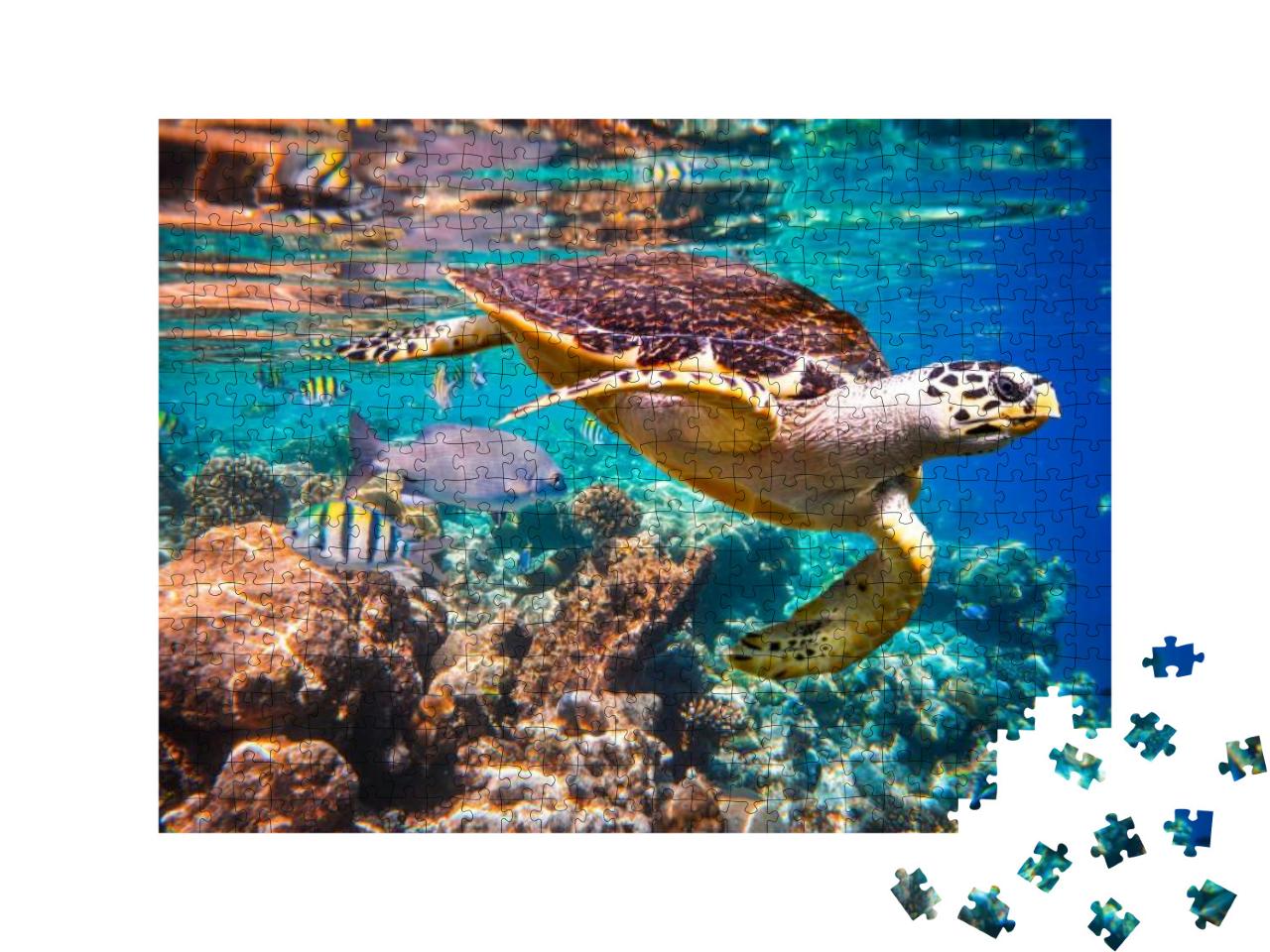 Hawksbill Turtle - Eretmochelys Imbricata Floats Under Wa... Jigsaw Puzzle with 500 pieces