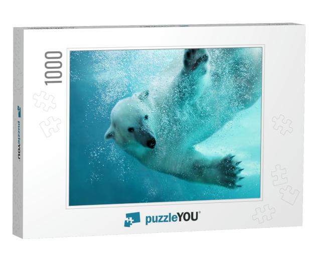 Polar Bear Attacking Underwater with Full Paw Blow Detail... Jigsaw Puzzle with 1000 pieces