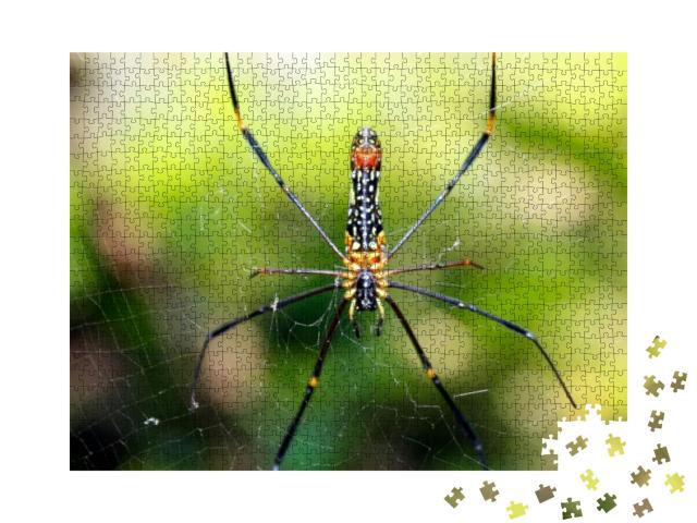 A Black & Yellow Color Spider is Photographed Close Up, B... Jigsaw Puzzle with 1000 pieces