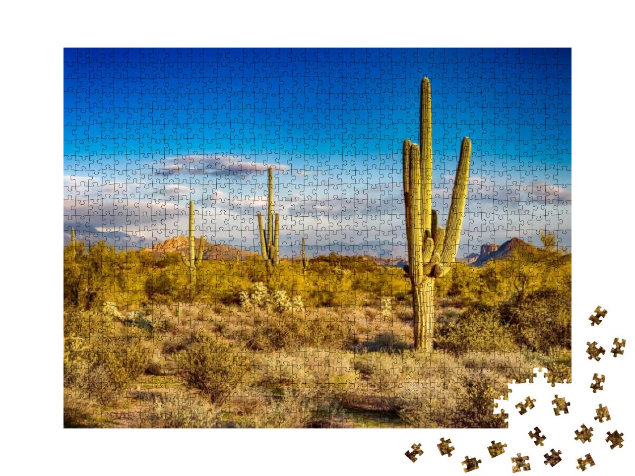 Cactus Desert Wild Outdoor Landscape... Jigsaw Puzzle with 1000 pieces