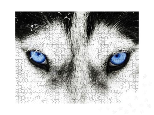 Close Up on Blue Eyes of a Husky Dog... Jigsaw Puzzle with 1000 pieces